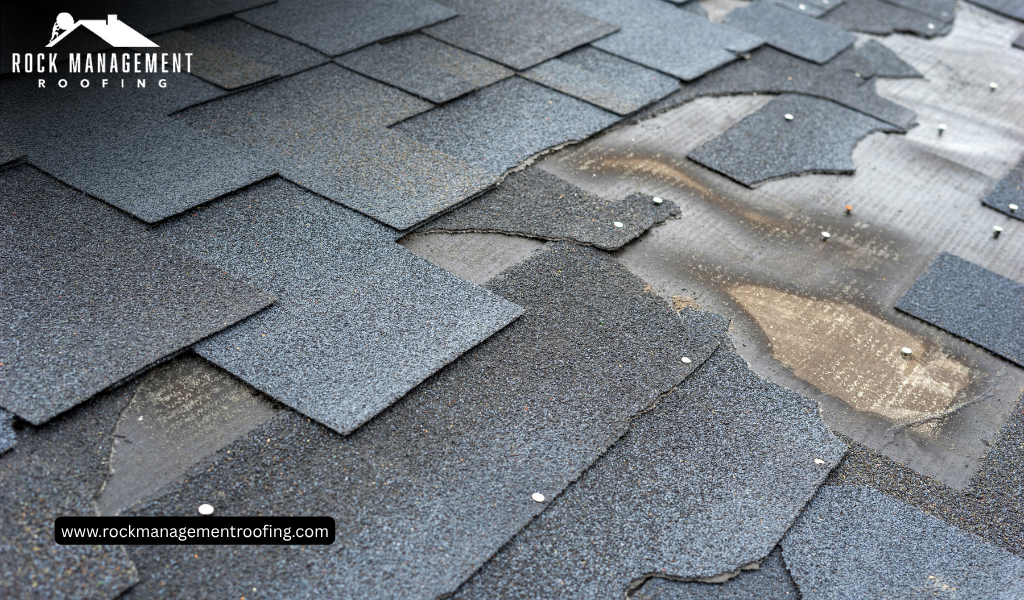What to Expect on Roofing Day: A Homeowner's Guide to Roof Replacement